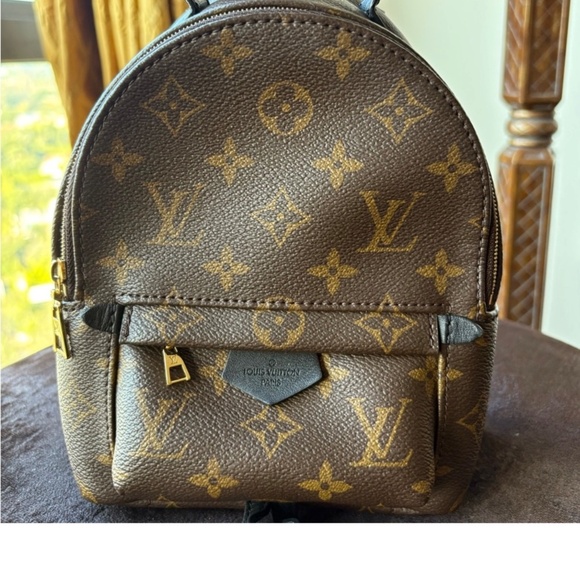 Louis Vuitton Palm Springs  mini - Picture 2 of 4